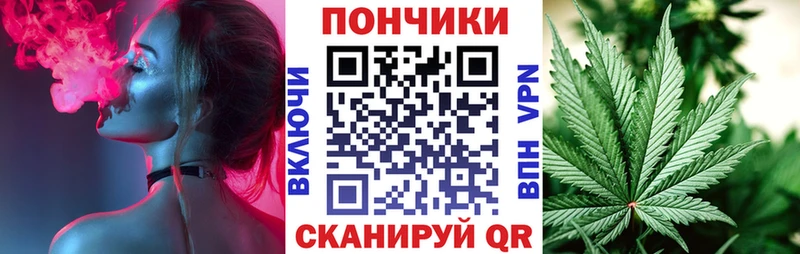Бошки марихуана гибрид  Алатырь 