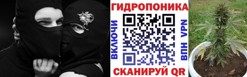 МАРИХУАНА White Widow Алатырь